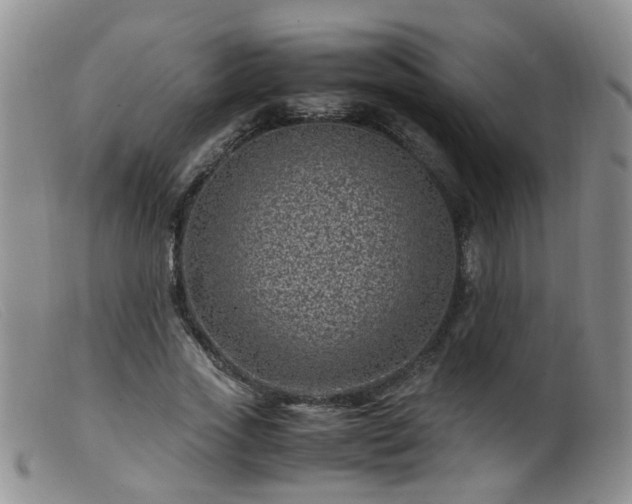 X0000099470733200805161110