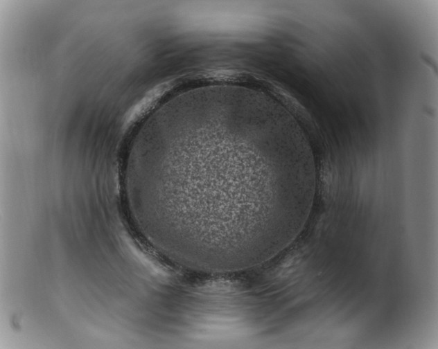 X0000099470734200805161110