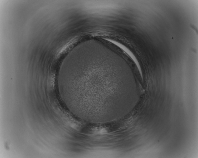 X0000099470735200805161110