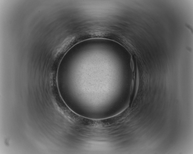 X0000099470738200805161110