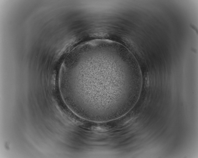 X0000099470739200805161110