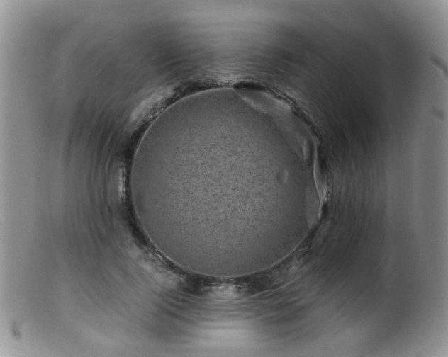 X0000099470740200805161110