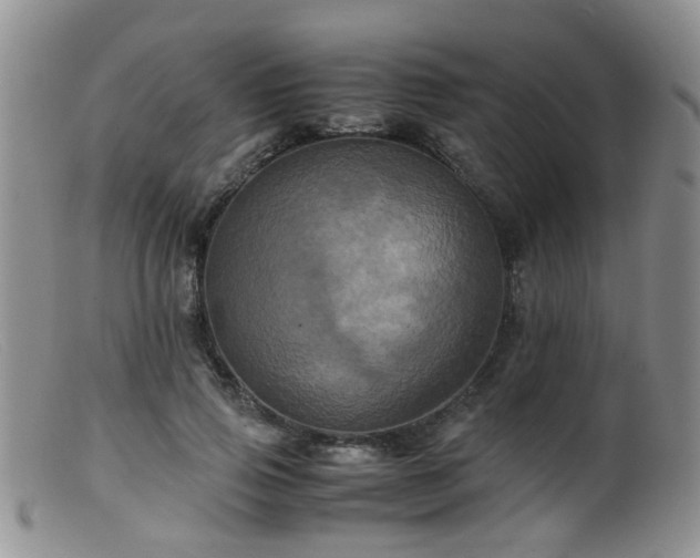 X0000099470741200805161110