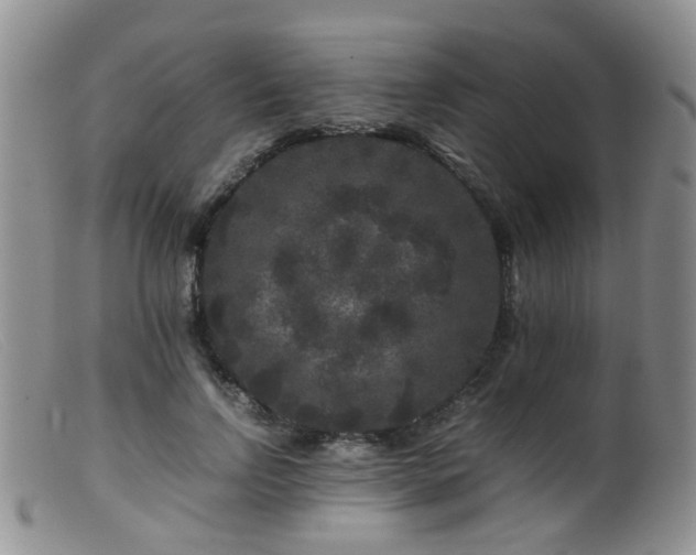 X0000099470742200805161110