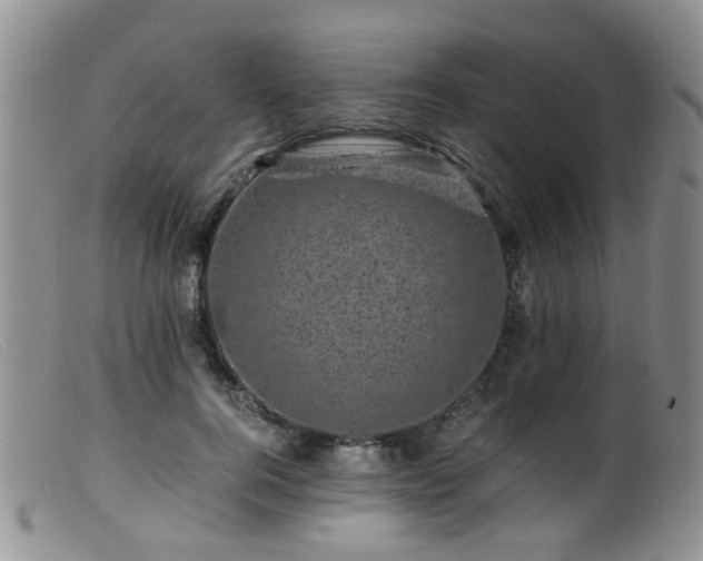 X0000099470744200805161110