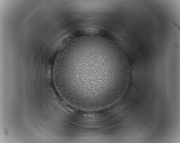 X0000099470745200805161110
