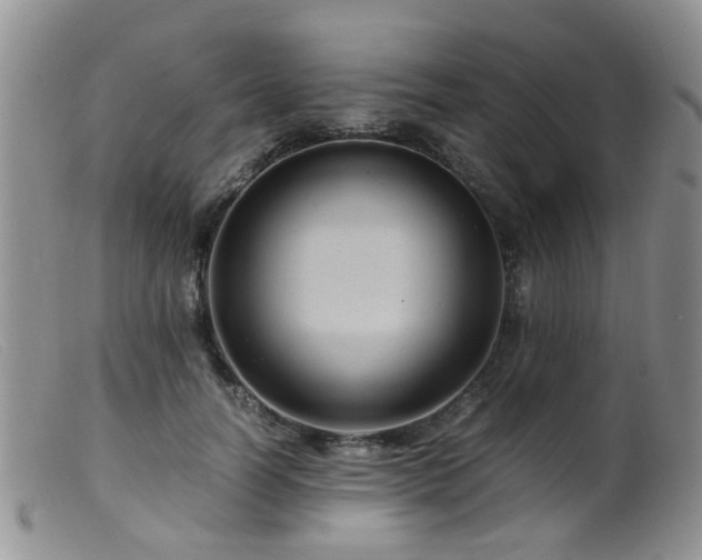 X0000099470746200805161111