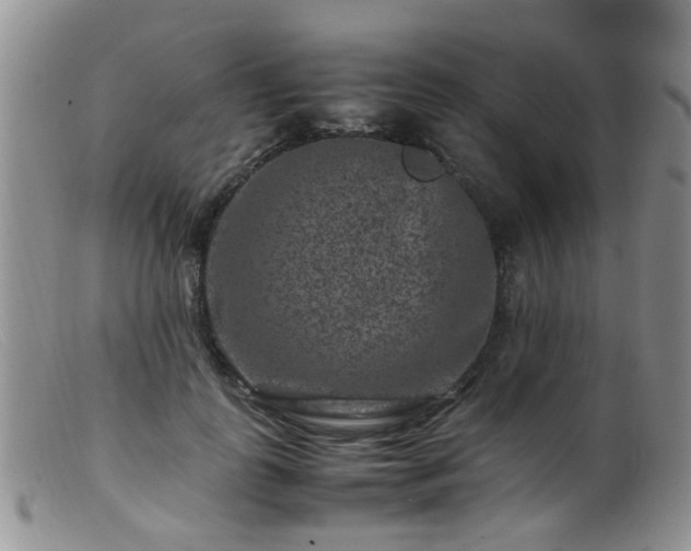 X0000099470747200805161111