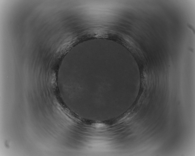 X0000099470748200805161111