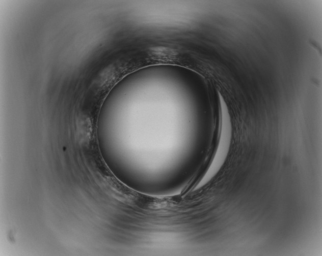 X0000099470752200805161111