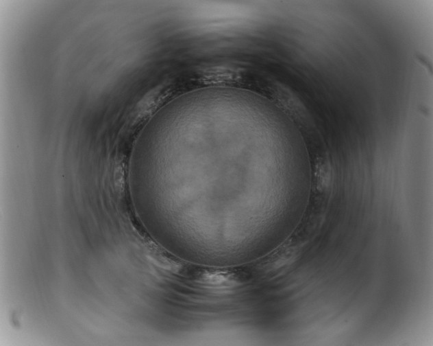 X0000099470753200805161111