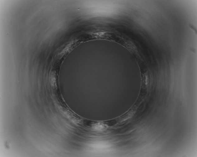 X0000099470754200805161111