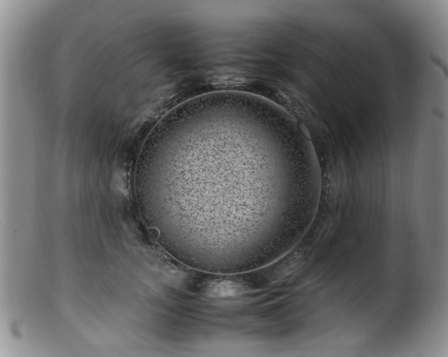 X0000099470755200805161111