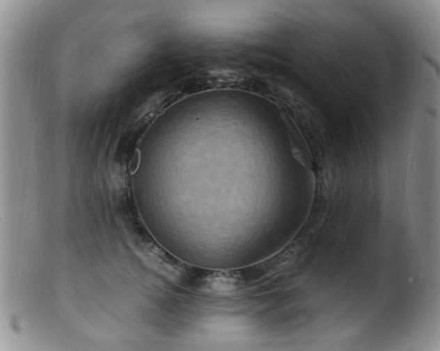 X0000099470756200805161111