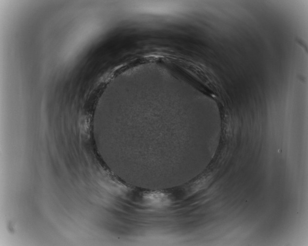 X0000099470759200805161111