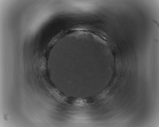 X0000099470760200805161111