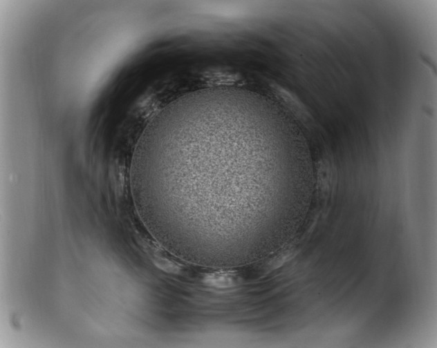 X0000099470761200805161111
