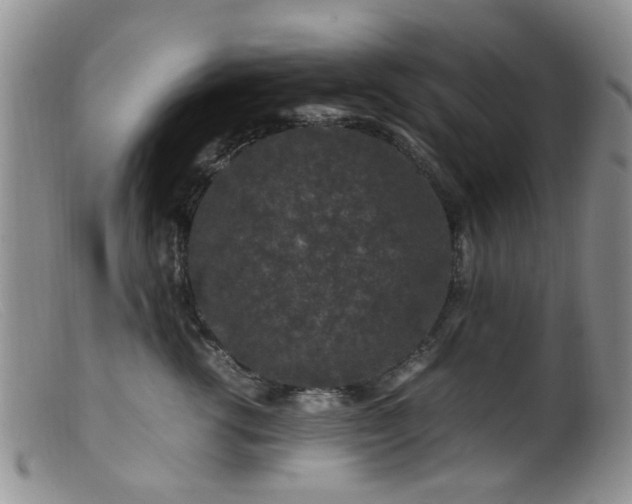 X0000099470762200805161111