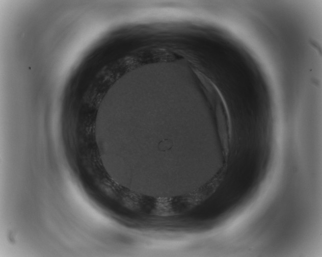 X0000099470766200805161111