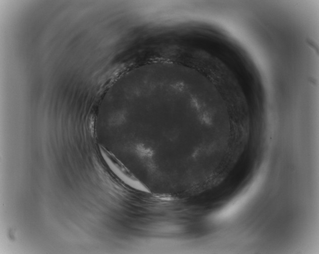 X0000099470767200805161111