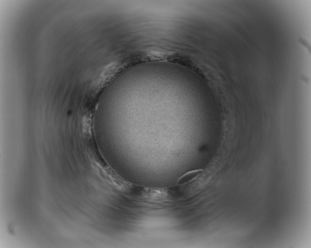 X0000099470768200805161111