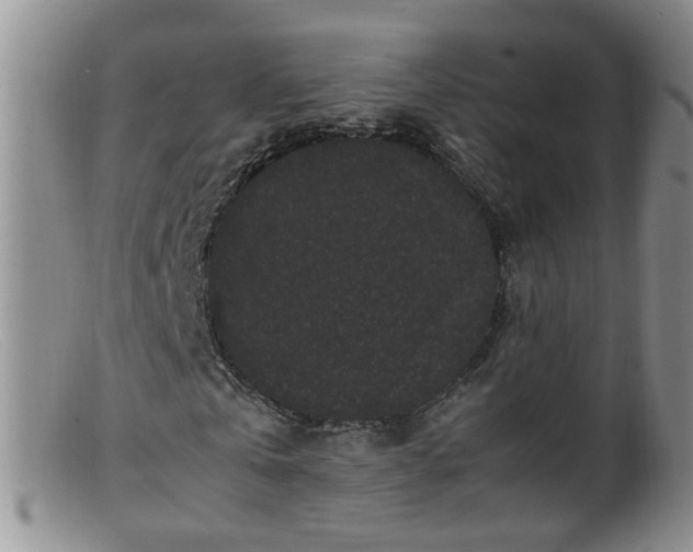 X0000099470769200805161110