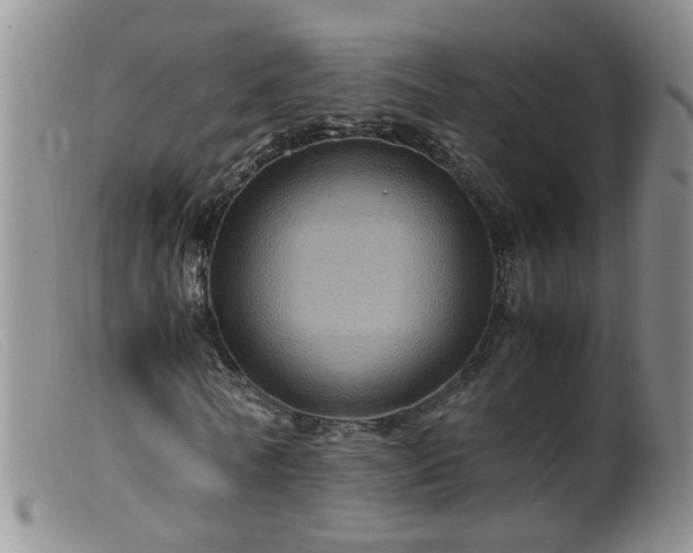 X0000099470770200805161110