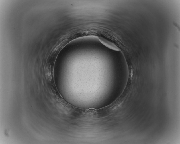 X0000099470771200805161110