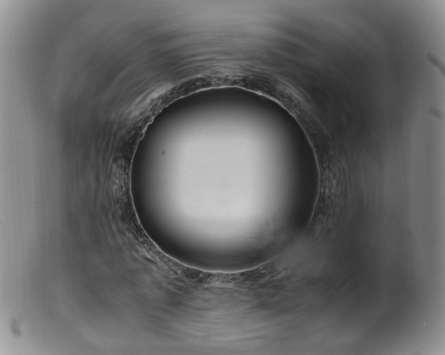 X0000099470773200805161110