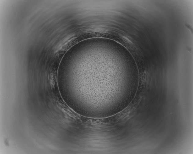 X0000099470774200805161110
