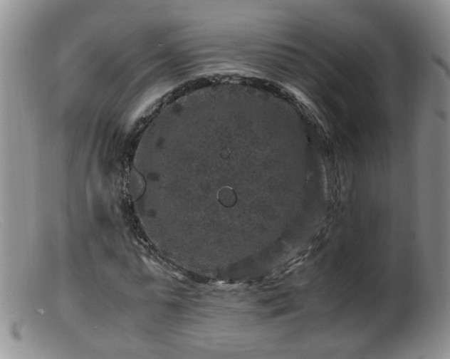 X0000099470775200805161110