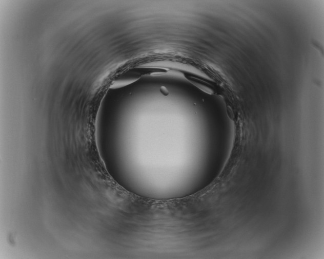X0000099470776200805161110