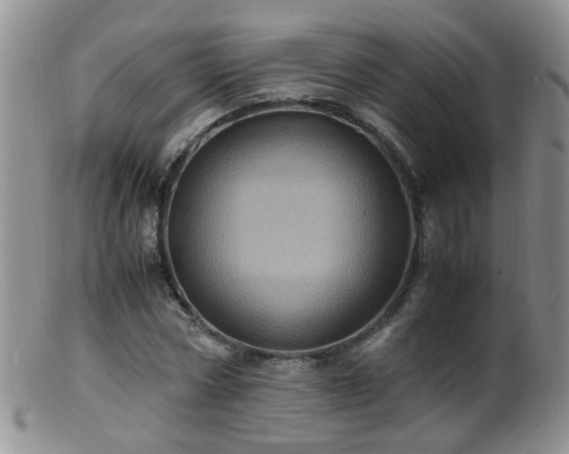 X0000099470778200805161110