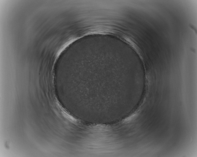X0000099470779200805161110