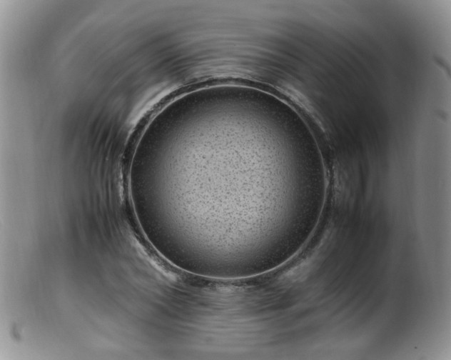 X0000099470782200805161110