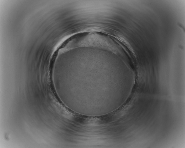 X0000099470784200805161110