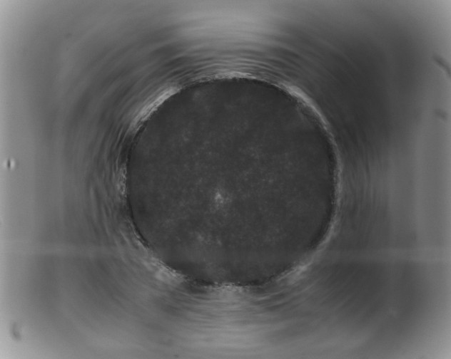 X0000099470785200805161110