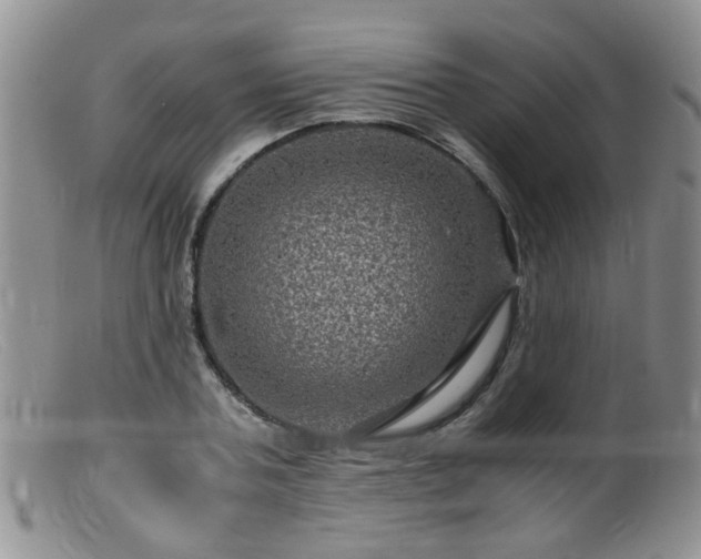 X0000099470787200805161110