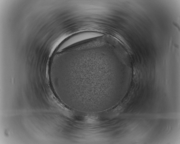 X0000099470788200805161110