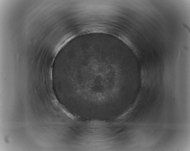 X0000099470790200805161110