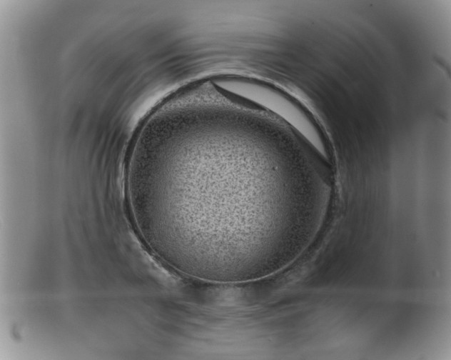 X0000099470791200805161110