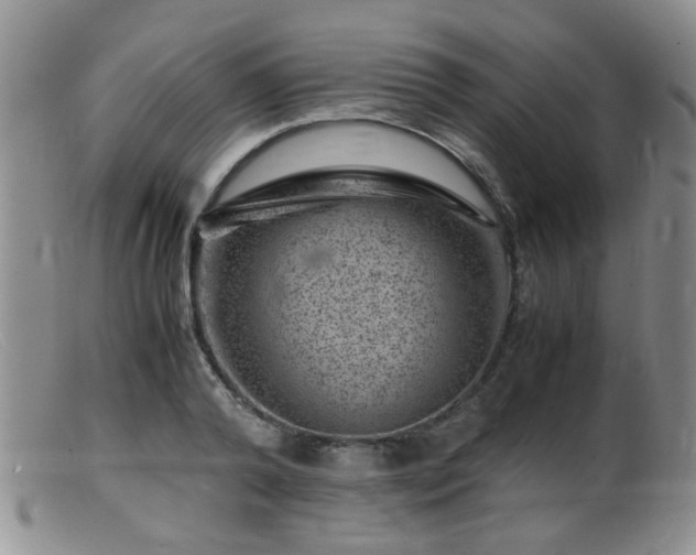 X0000099470792200805161110