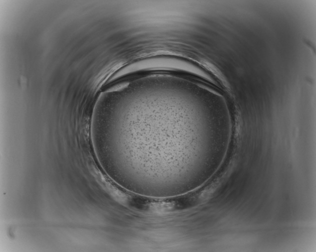 X0000099470793200805161110