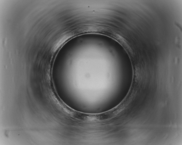 X0000099470794200805161110