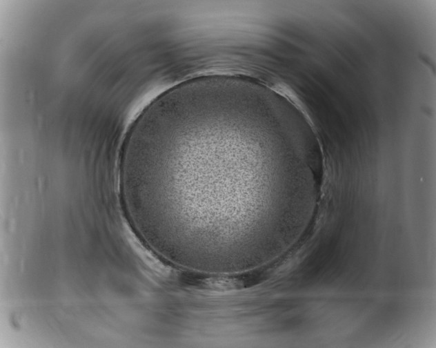 X0000099470795200805161110
