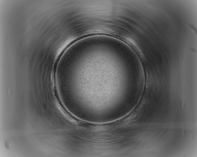 X0000099470796200805161110