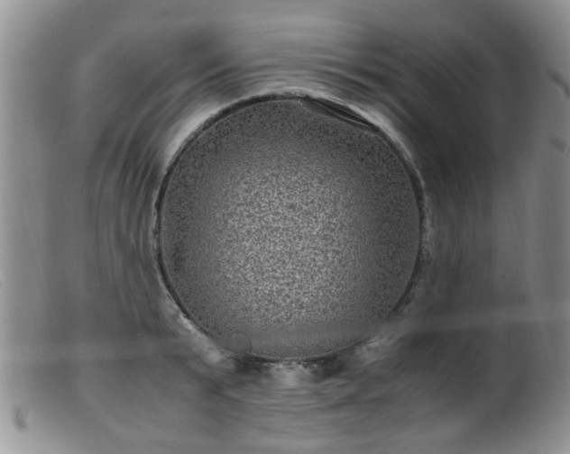 X0000099470799200805161110