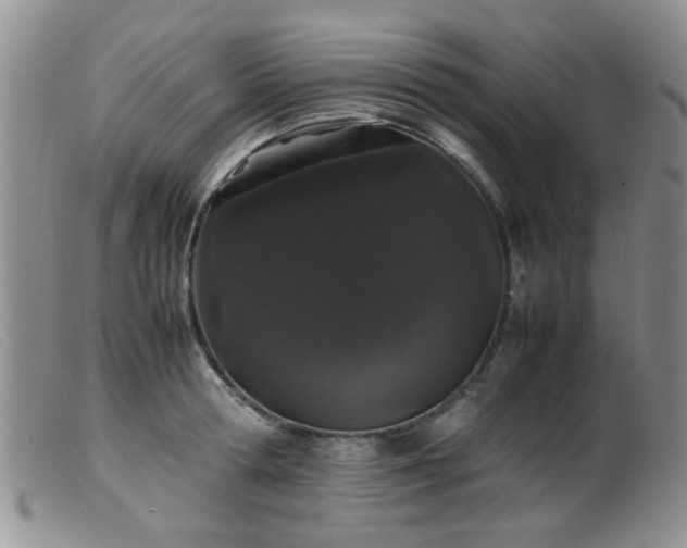 X0000099470802200805161109