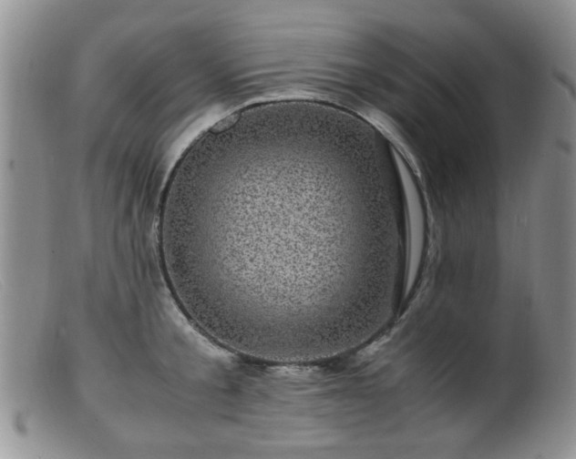 X0000099470805200805161109