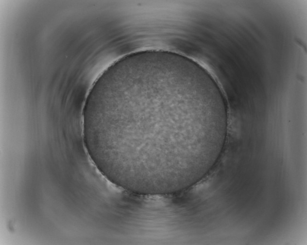 X0000099470807200805161109
